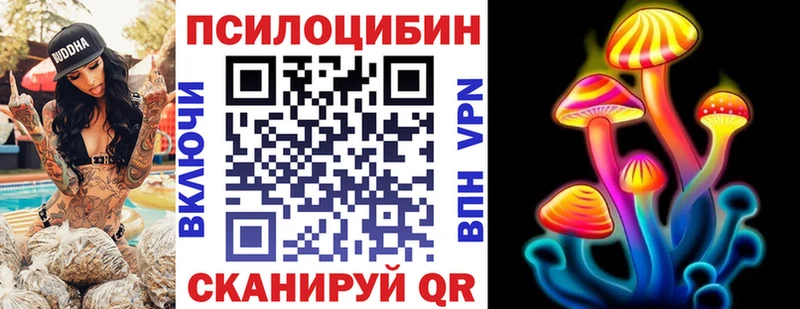 Галлюциногенные грибы Cubensis Чегем